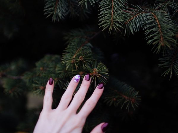 Nagellak feestdagen - Carola Nails and Beauty
